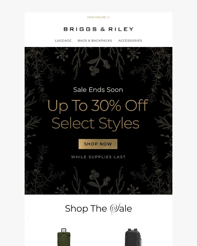 Screenshot of email with subject /media/emails/dont-miss-up-to-30-off-775992-cropped-13b19339.jpg