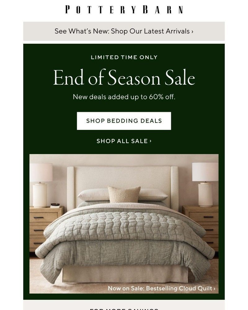 Screenshot of email with subject /media/emails/dont-miss-up-to-60-off-new-deals-171ac7-cropped-da476d06.jpg