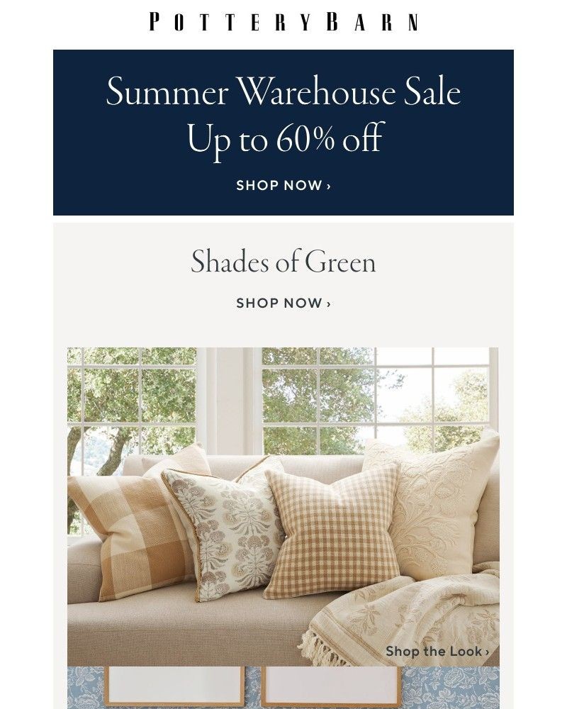 Screenshot of email with subject /media/emails/dont-miss-up-to-60-off-new-pillows-easy-style-update-bdfcb9-cropped-da8eef66.jpg