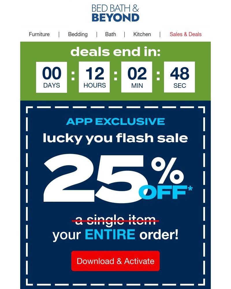 Screenshot of email with subject /media/emails/dont-miss-your-25-off-coupon-063bdd-cropped-4b533ff8.jpg