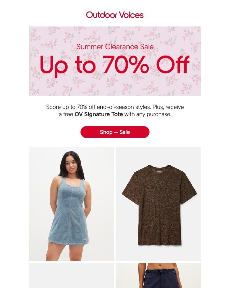 Screenshot of email with subject /media/emails/dont-miss-your-chance-5b3fc0-cropped-5d9e0531.jpg