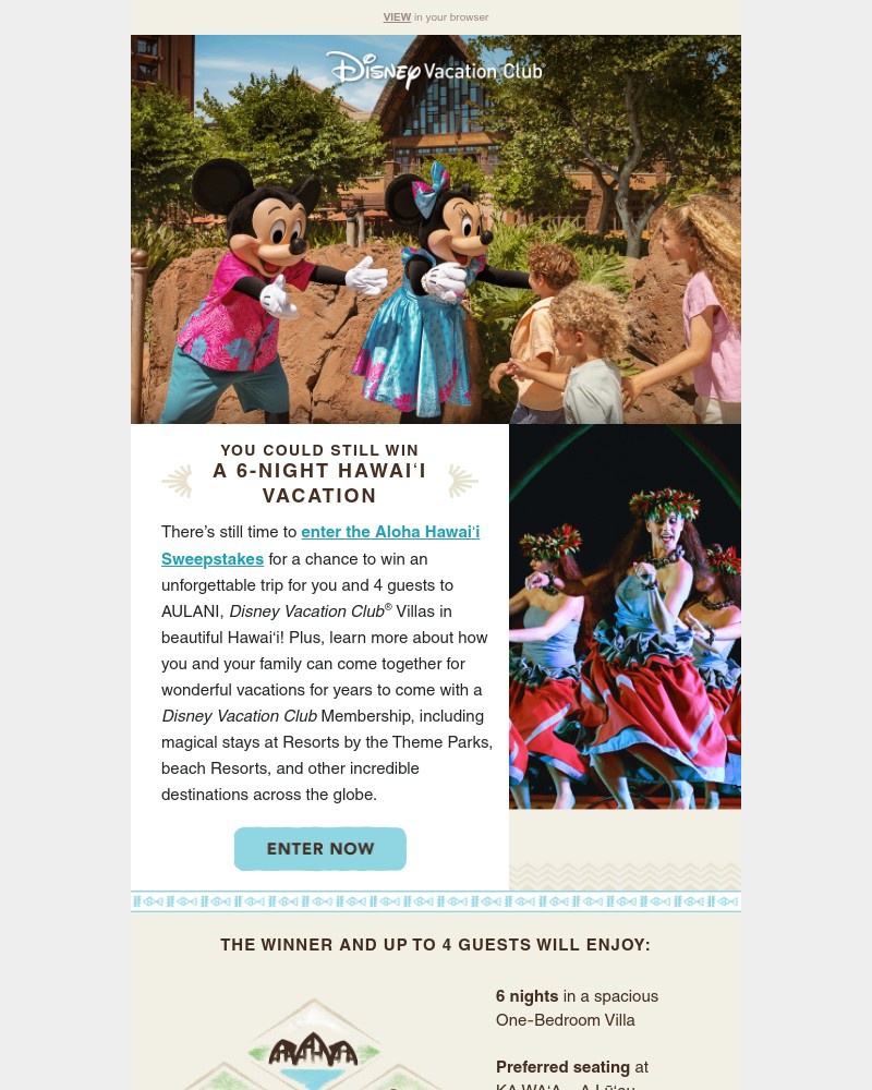 Screenshot of email with subject /media/emails/dont-miss-your-chance-to-win-a-hawaii-vacation-31a88f-cropped-24b3cb90.jpg