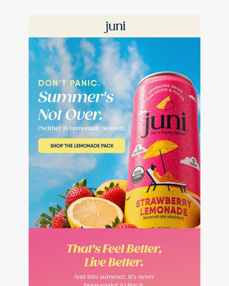 Screenshot of email with subject /media/emails/dont-panic-lemonade-season-isnt-over-e0fdec-cropped-8b214054.jpg
