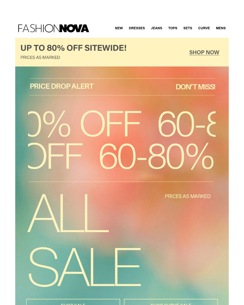 Screenshot of email with subject /media/emails/dont-skip-the-sale-section-a5ea51-cropped-aa2ff341.jpg