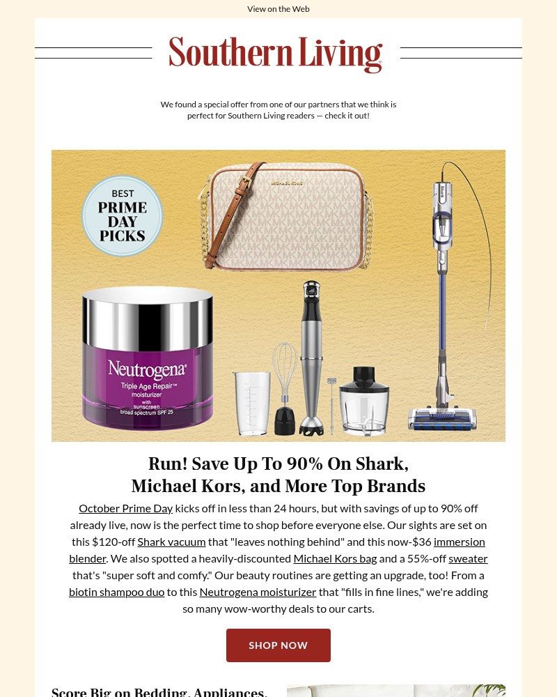 Screenshot of email with subject /media/emails/dont-wait-amazon-dropped-secret-savings-ahead-of-prime-big-deal-days-61b112-cropp_qlgA27j.jpg