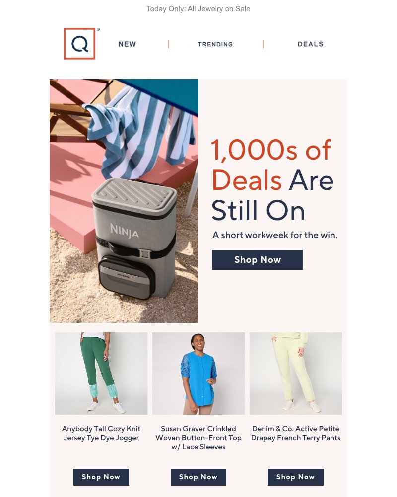 Screenshot of email with subject /media/emails/dont-wait-deals-expire-asap-91887e-cropped-2155684e.jpg