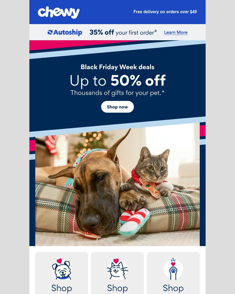 Screenshot of email with subject /media/emails/dont-wait-for-black-friday-81f66f-cropped-967f5628.jpg