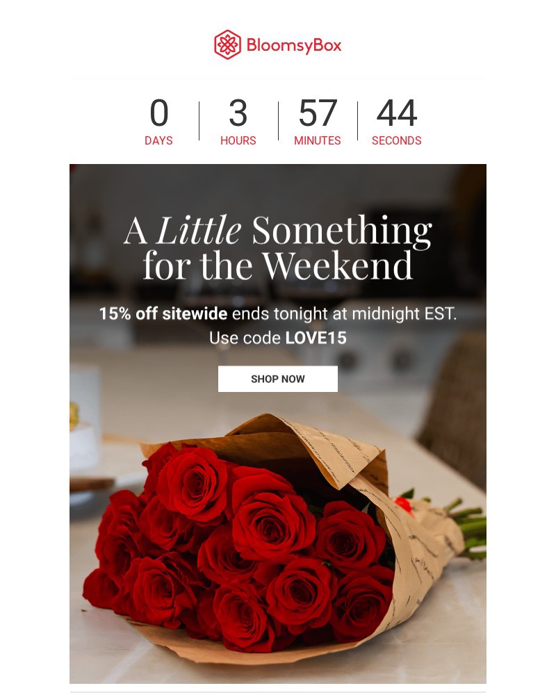 Screenshot of email with subject /media/emails/dont-wait-on-this-e724b0-cropped-3bb424a8.jpg