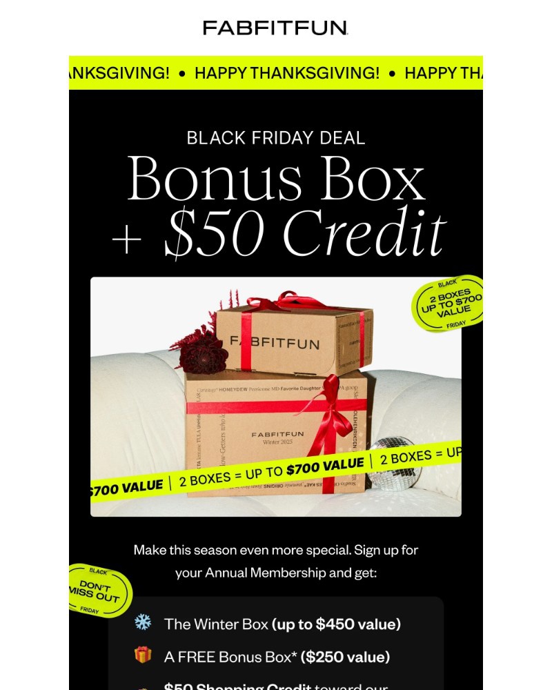 Screenshot of email with subject /media/emails/dont-wait-this-black-friday-deal-ends-soon-788e9d-cropped-51bc2f08.jpg
