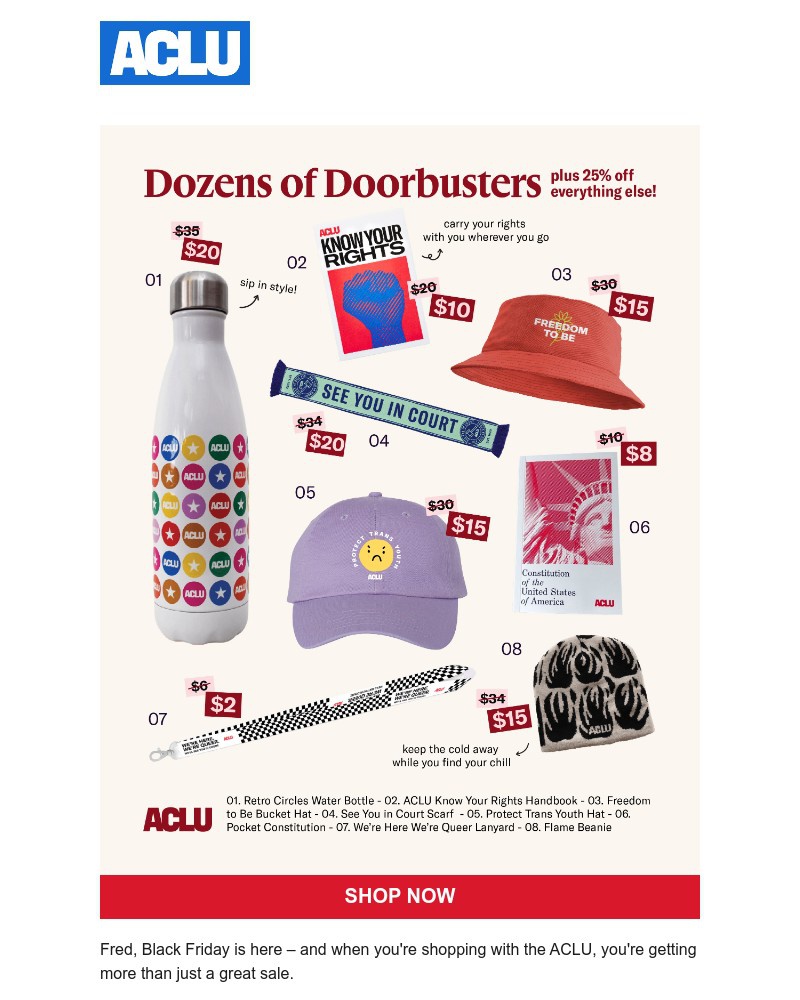 Screenshot of email with subject /media/emails/doorbuster-deals-for-democracy-2ca29e-cropped-1da39f8e.jpg