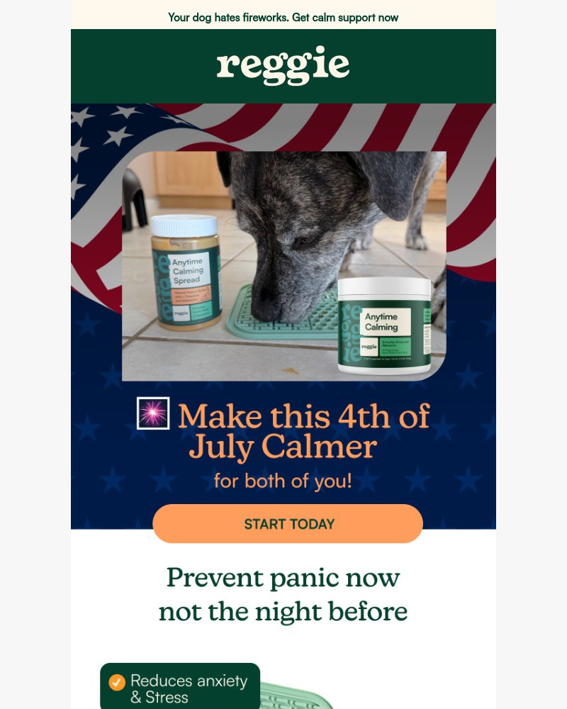 Screenshot of email sent to a reggie Newsletter subscriber