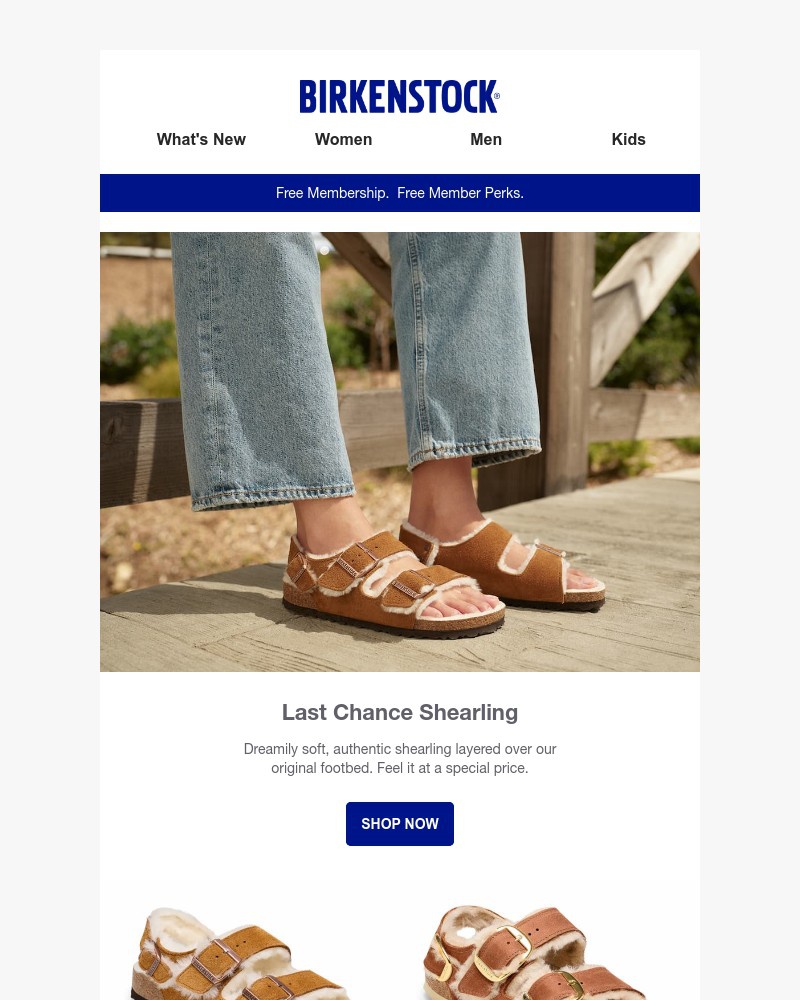 Screenshot of email with subject /media/emails/dreamily-soft-shearling-at-a-special-price-2cf1e7-cropped-64b60d87.jpg