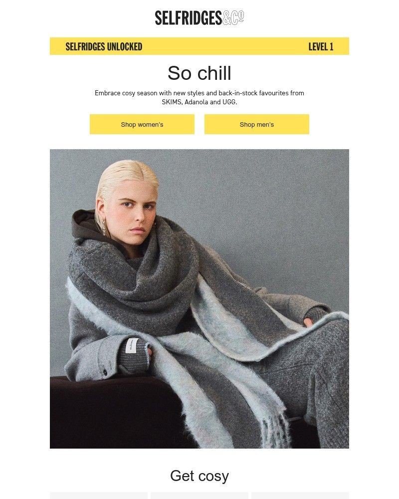 Screenshot of email with subject /media/emails/dress-to-chill-8f3b3f-cropped-c48519e5.jpg