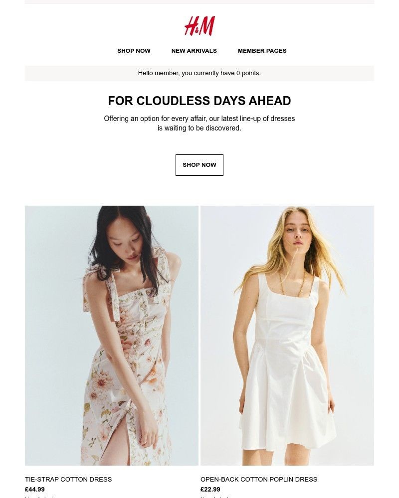 Screenshot of email with subject /media/emails/dresses-for-summer-3c9c5a-cropped-426b906c.jpg