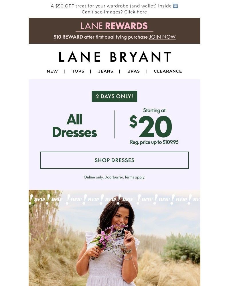 Screenshot of email with subject /media/emails/dresses-from-20-main-character-energy-dc4ad3-cropped-c9644800.jpg