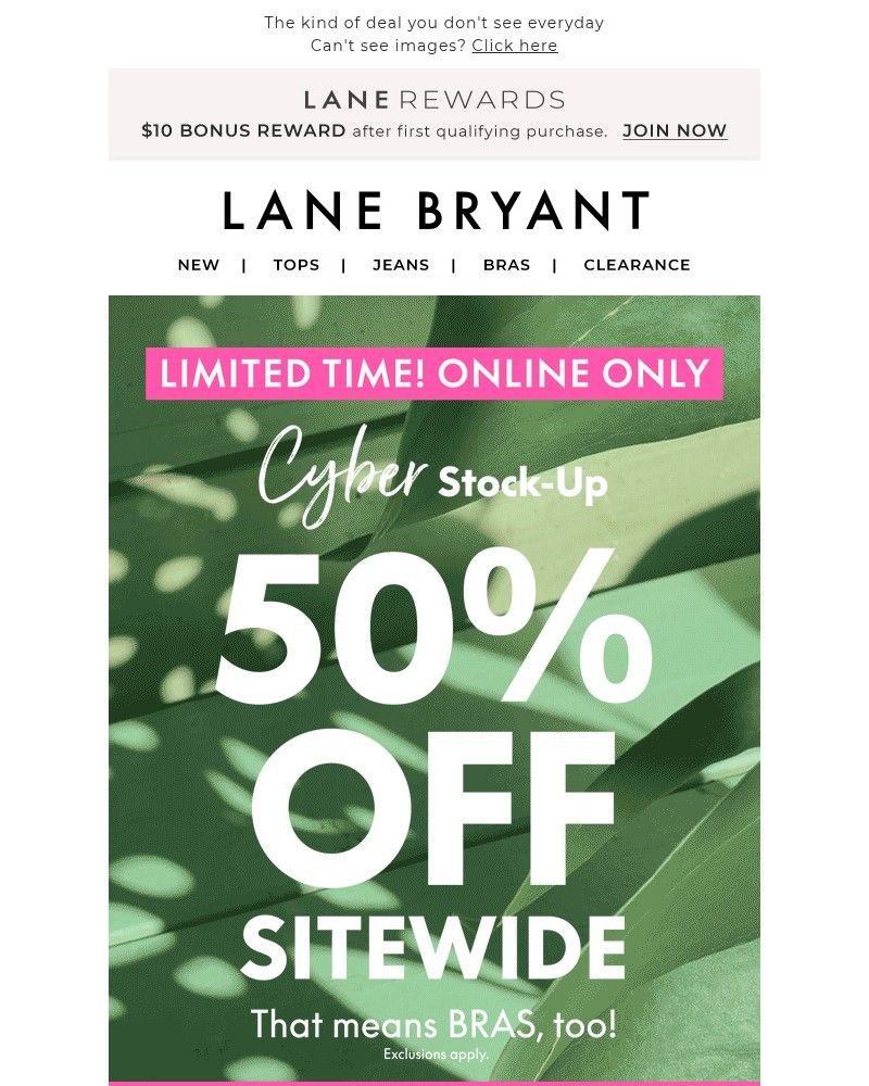 Screenshot of email with subject /media/emails/drop-everything-50-off-sitewide-099934-cropped-43e3e730.jpg
