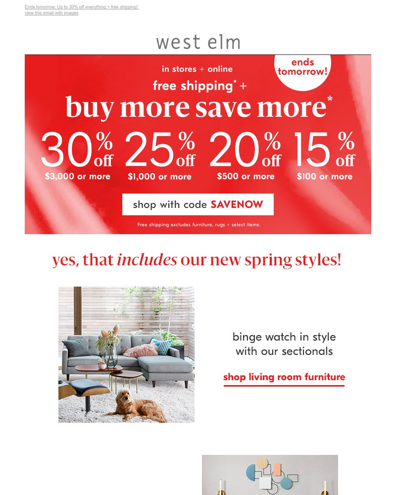 Screenshot of email with subject /media/emails/drop-everything-and-head-to-your-store-for-savings-on-everything-cropped-4692f523.jpg