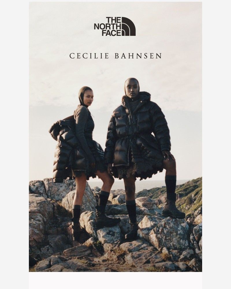 Screenshot of email sent to a The North Face Newsletter subscriber