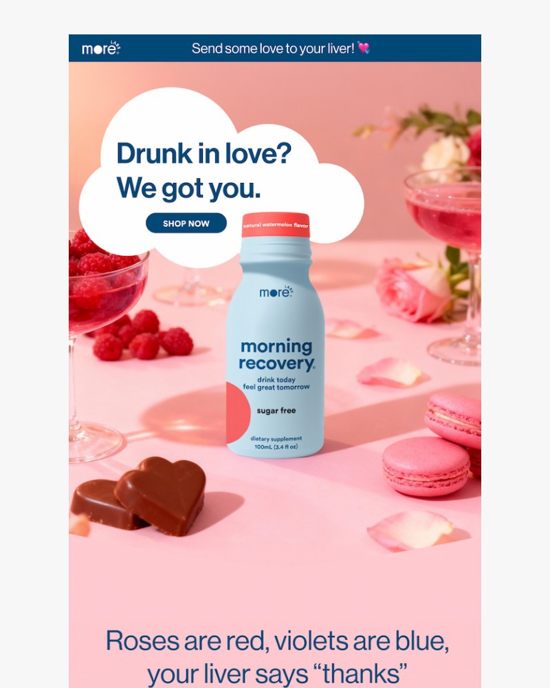 Screenshot of email with subject /media/emails/drunk-in-love-we-got-you-50111c-cropped-49cd5dbd.jpg