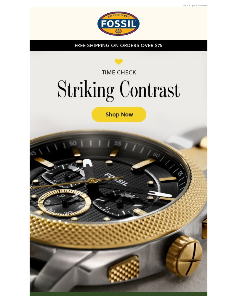 Screenshot of email sent to a Fossil Newsletter subscriber