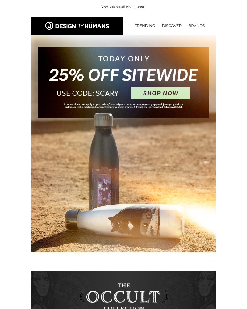 Screenshot of email with subject /media/emails/dundundunnn-friday-the-13th-25-off-0bc31a-cropped-2103af6e.jpg