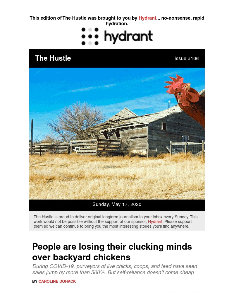 Screenshot of email with subject /media/emails/during-times-of-crisis-people-buyuhlive-chickens-cropped-5c1944ce.jpg