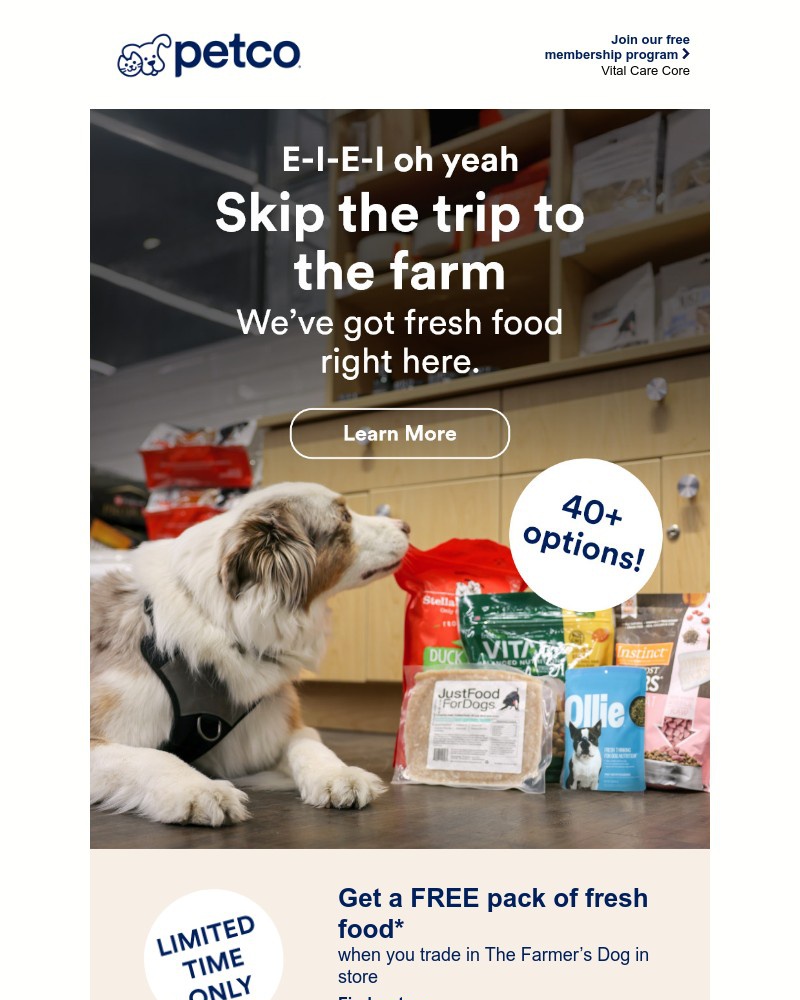Screenshot of email with subject /media/emails/e-i-e-i-omg-free-pack-of-fresh-dog-food-4b18aa-cropped-059fd6a9.jpg