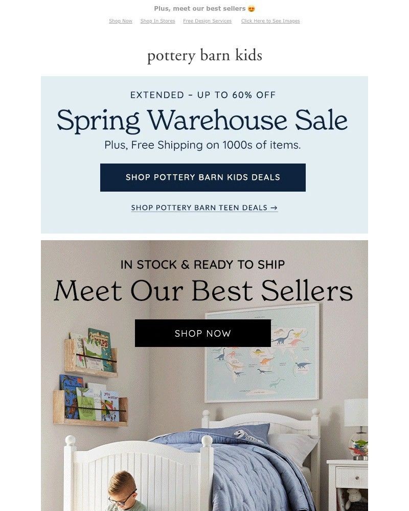 Screenshot of email with subject /media/emails/e-x-t-e-n-d-e-d-up-to-60-off-spring-warehouse-sale-410e74-cropped-2c6d1abd.jpg