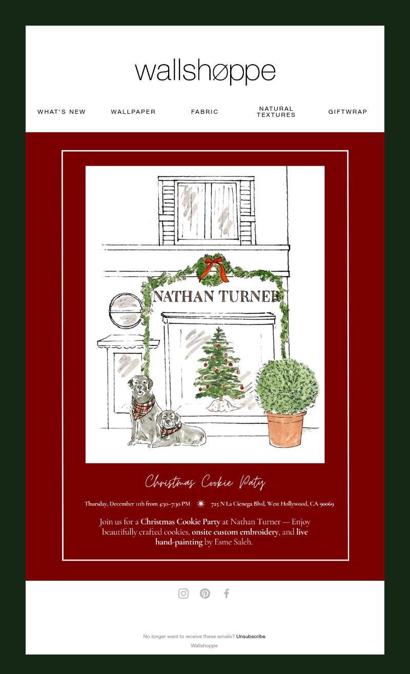 Screenshot of email with subject /media/emails/e0090f84-cc10-430e-b83f-b653e2f08733.jpg