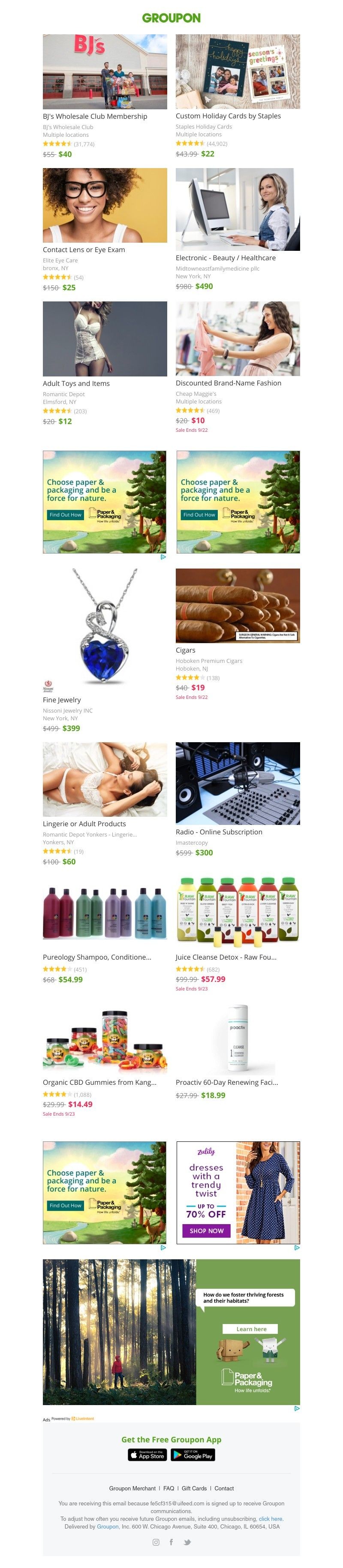Screenshot of email with subject /media/emails/e021a7a2-4153-4469-8d0f-098ecd1ce358.jpg