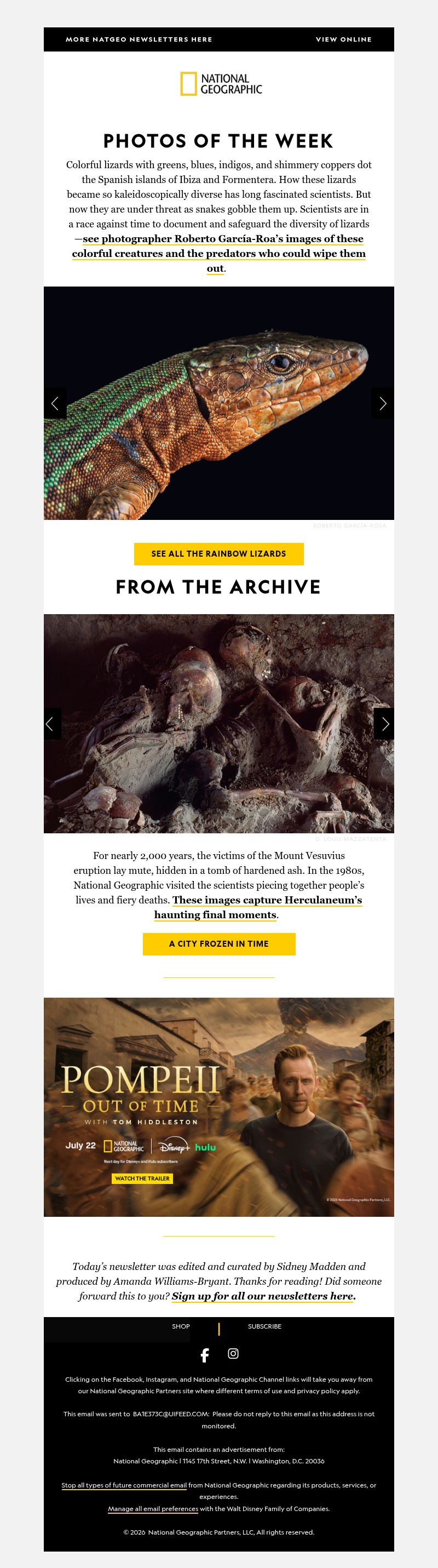 Screenshot of email with subject /media/emails/e0db5b00-8454-4fdd-b2e1-e8f994da7ba4.jpg