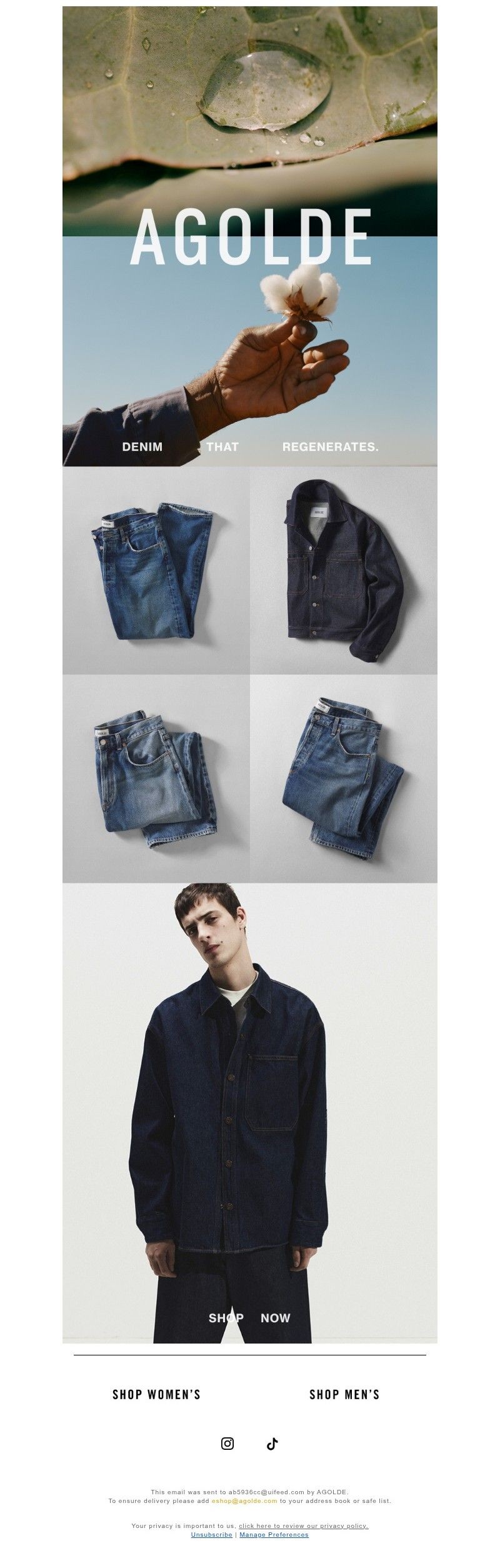 Screenshot of email with subject /media/emails/e0e800b3-b9aa-4ca3-90fd-6ba12e89d1fd.jpg