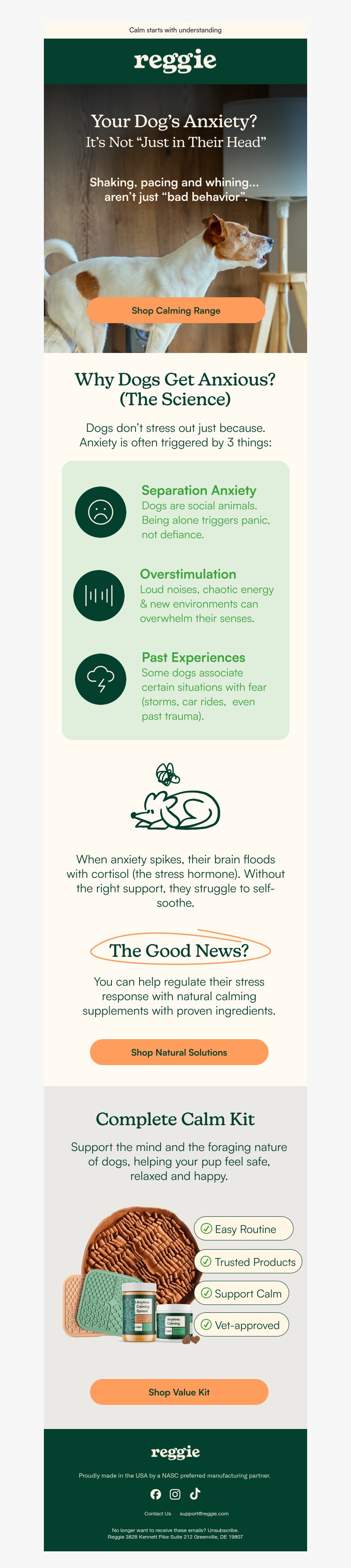 Screenshot of email with subject /media/emails/e126a111-d430-4d72-b228-3d29b2f6e260.jpg