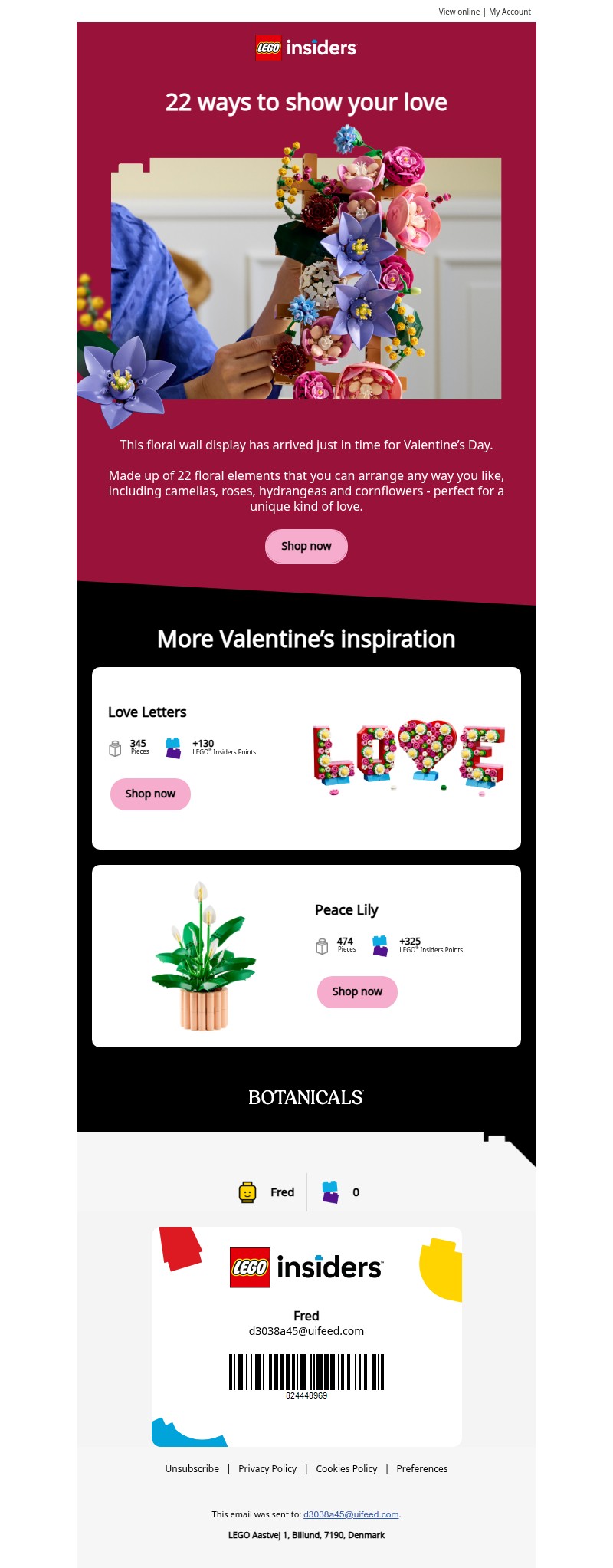 Screenshot of email with subject /media/emails/e132c526-e4e1-4135-8e3d-4e06c3106a6c.jpg
