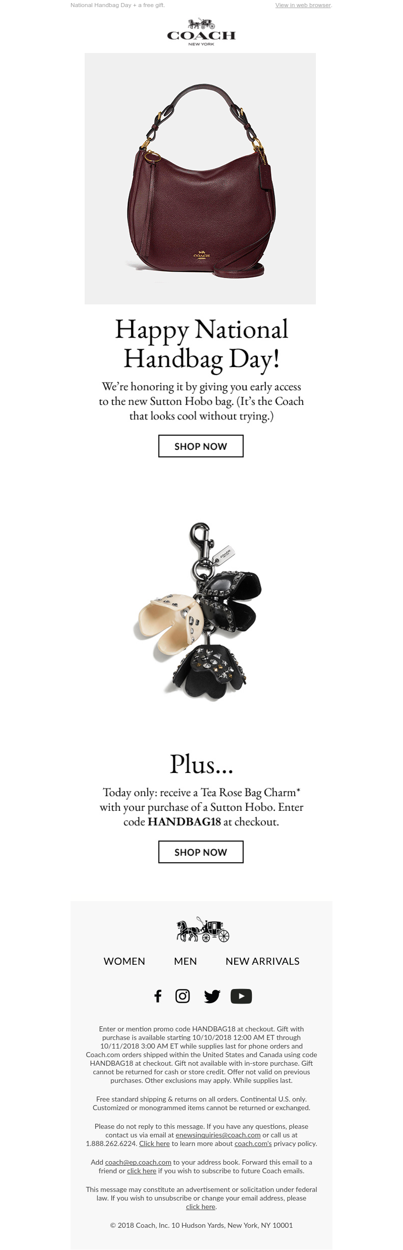 Screenshot of email with subject /media/emails/e15e032a-bb6d-443a-a938-d876b89ca81d.png