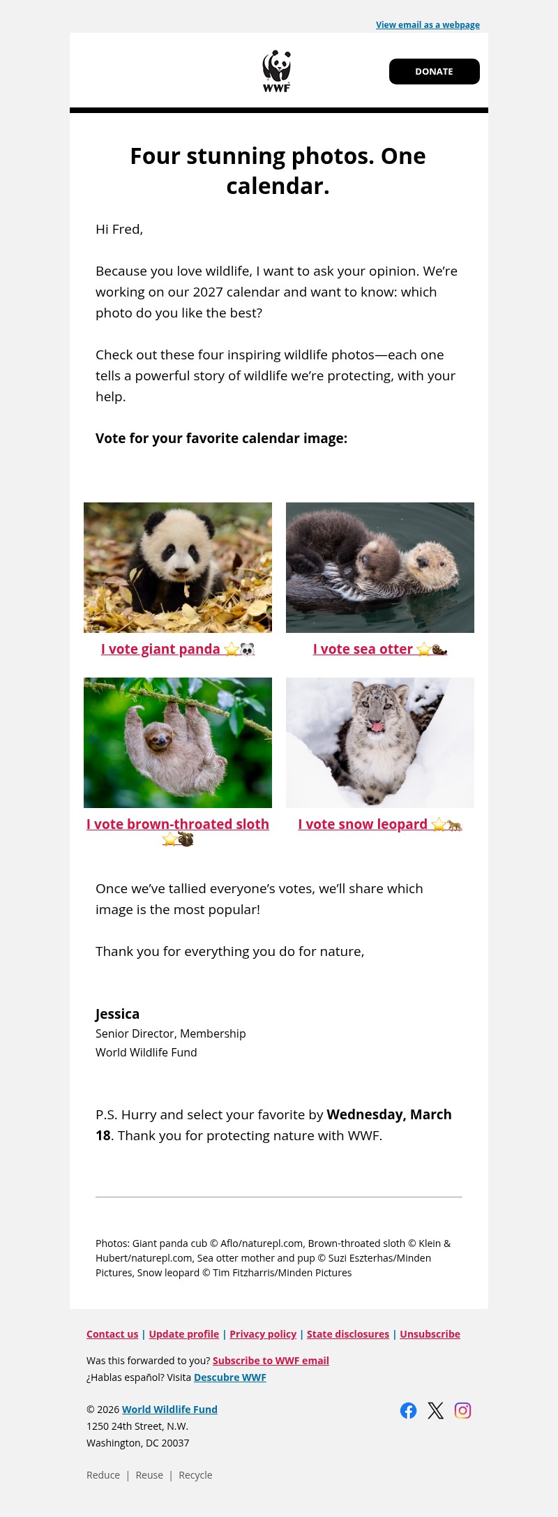 Screenshot of email with subject /media/emails/e1735c0c-c400-43ec-b35a-983d663224a3.jpg