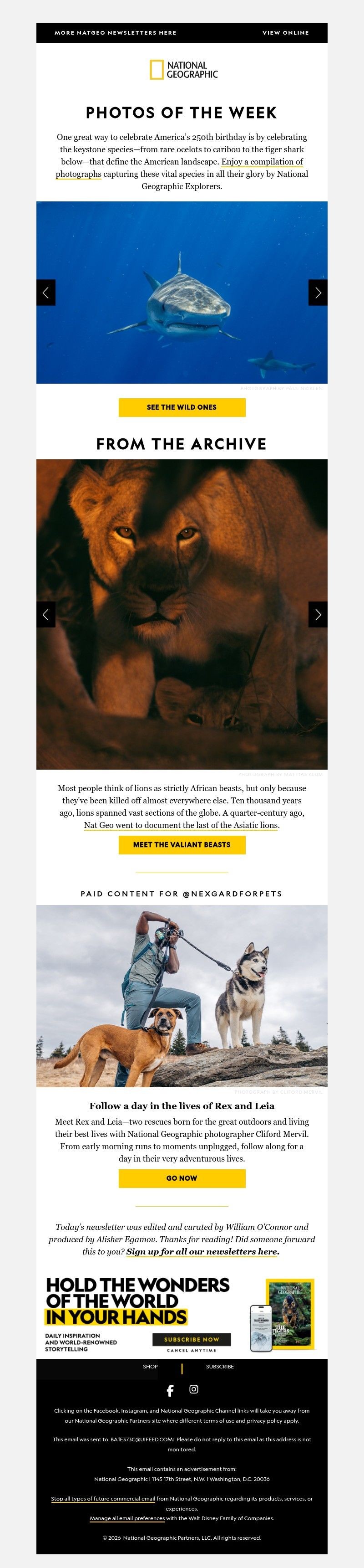 Screenshot of email with subject /media/emails/e1cffd01-f97f-41d9-a64c-0c29c78ed0fa.jpg