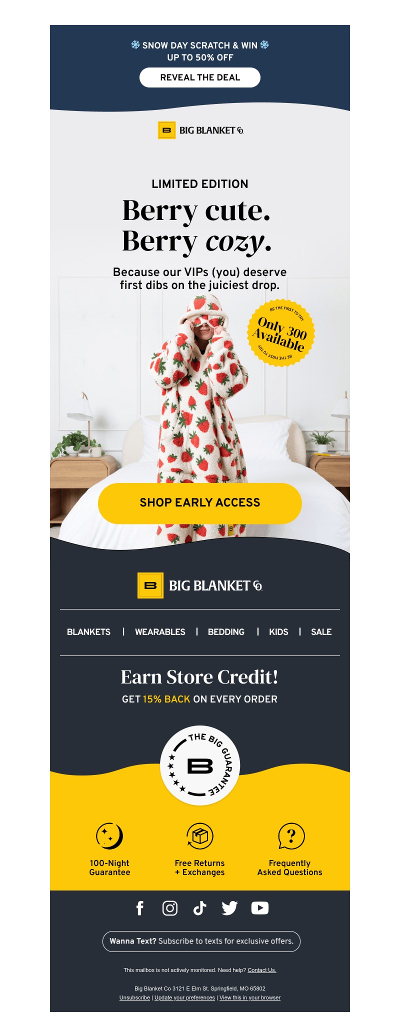 Screenshot of email with subject /media/emails/e21a464f-d781-4ce5-86e0-e93fc31a6e47.jpg