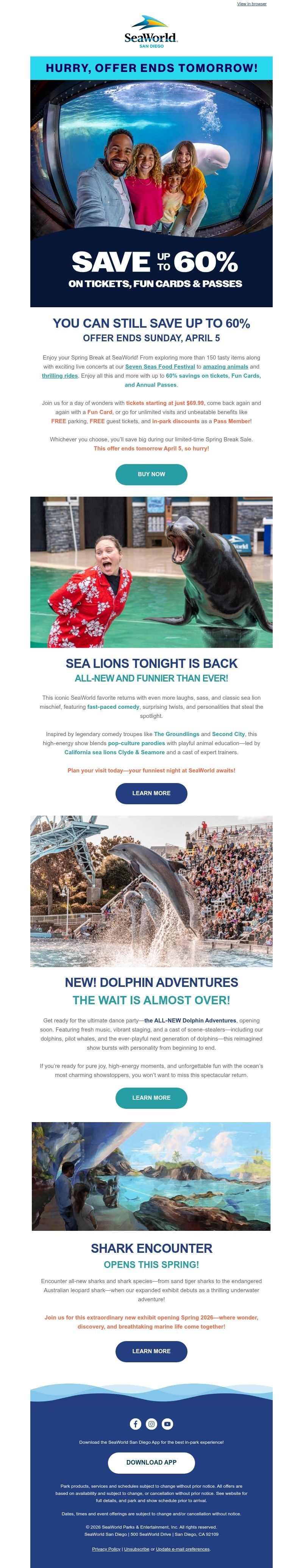 Screenshot of email with subject /media/emails/e23dc604-5be8-4ca8-a259-bbc52b4a11c0.jpg