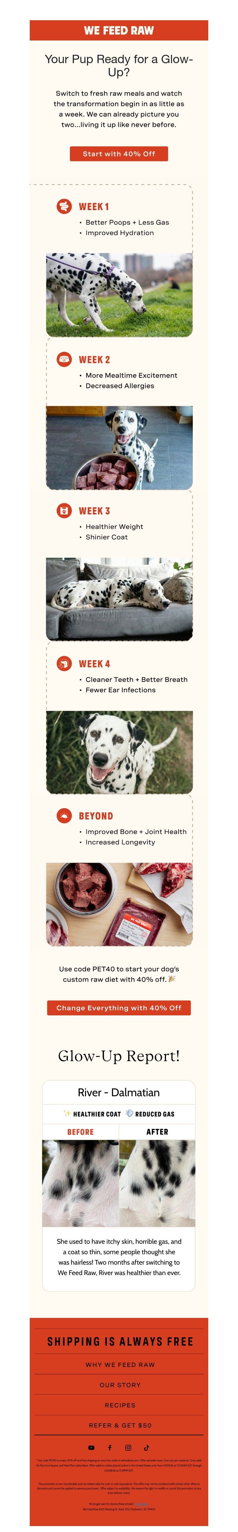 Screenshot of email with subject /media/emails/e256d677-f755-4f35-a2dc-252a768c17d1.jpg