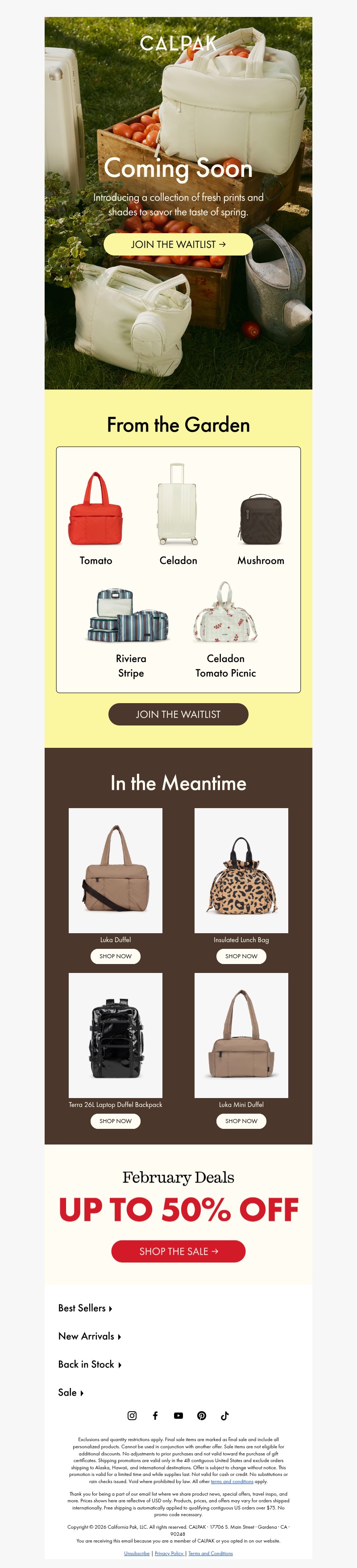 Screenshot of email with subject /media/emails/e26a73af-1167-47f1-906f-c491d616240b.jpg
