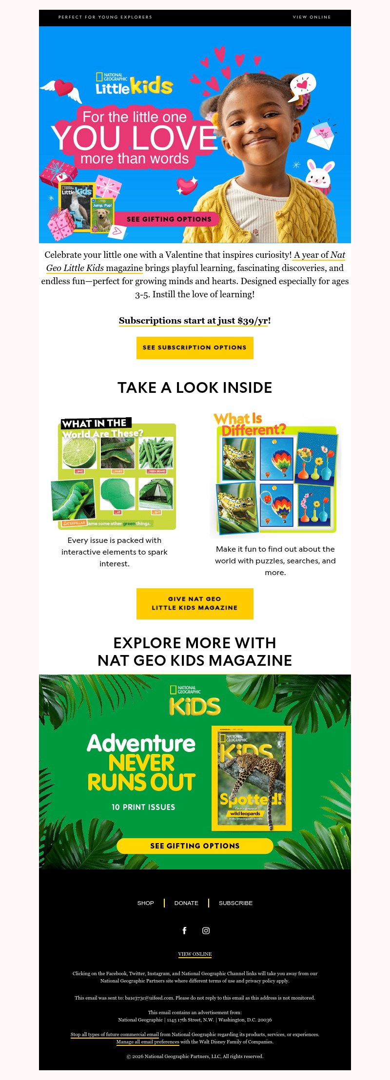 Screenshot of email with subject /media/emails/e2b03c05-01ad-4685-9770-5010ca138a0a.jpg