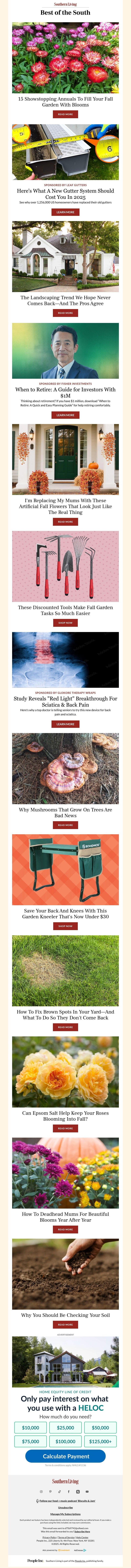 Screenshot of email with subject /media/emails/e2ef6f77-e8ab-4127-8cf7-0b12894ba018.jpg