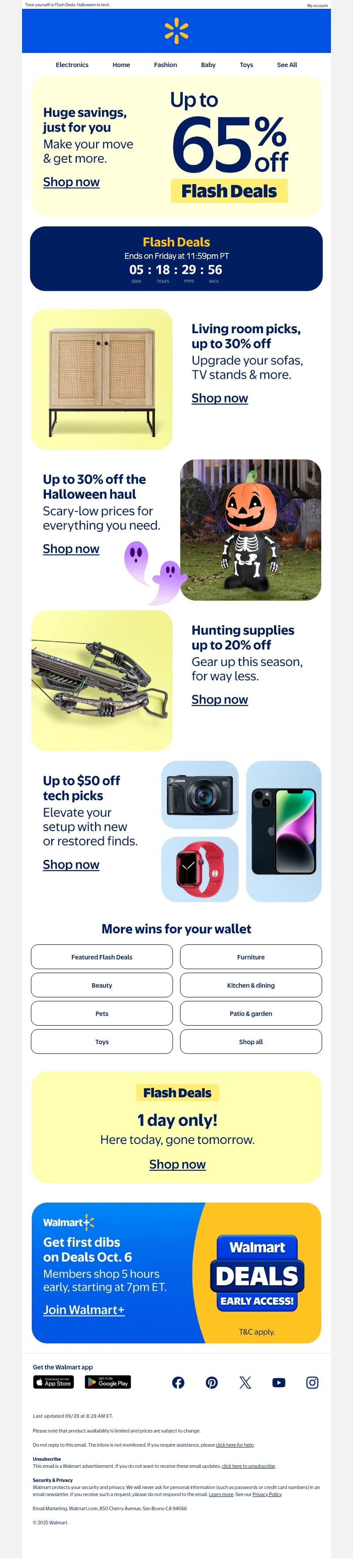 Screenshot of email with subject /media/emails/e31a160d-26f7-45ae-94ce-57adeafc692d.jpg