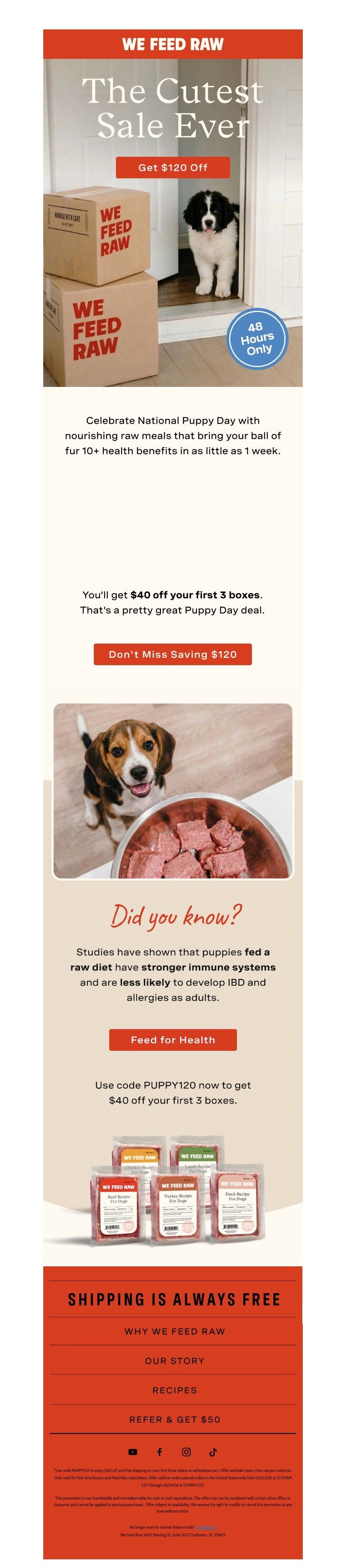 Screenshot of email with subject /media/emails/e3a00905-f7be-454a-a16c-fce2d49dd287.jpg