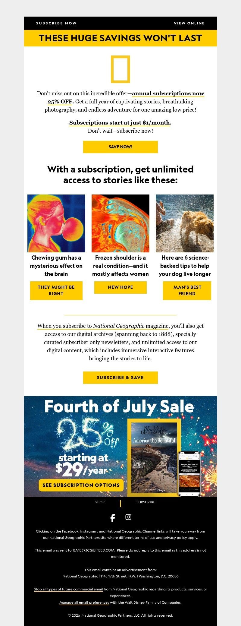 Screenshot of email with subject /media/emails/e3aae901-1df1-4a76-a25b-17eade6ba60a.jpg