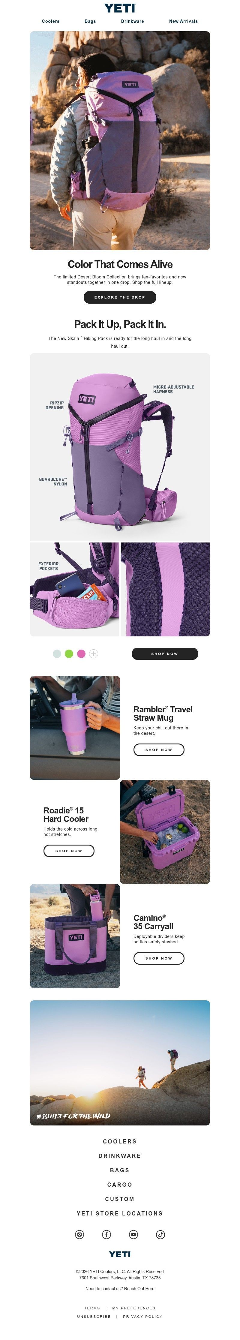 Screenshot of email with subject /media/emails/e3cd6283-2008-45f4-8b88-37d885eebcaa.jpg