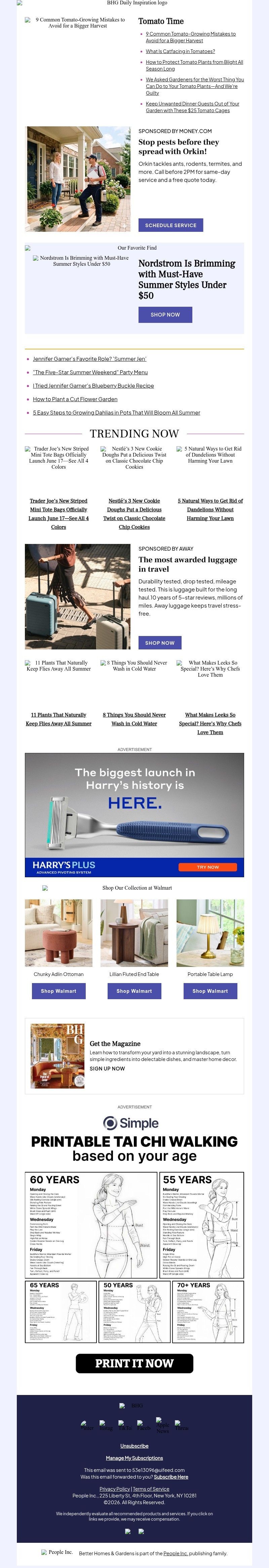 Screenshot of email with subject /media/emails/e3d1b6aa-6455-4853-8194-c012864195a4.jpg