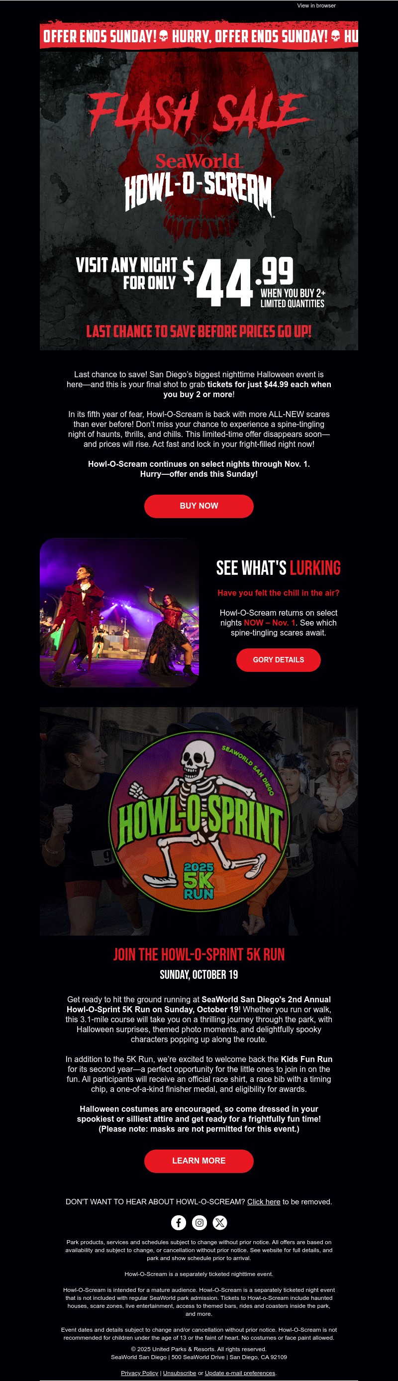 Screenshot of email with subject /media/emails/e4273505-e040-408e-bc6c-3f0e332a0d2d.jpg