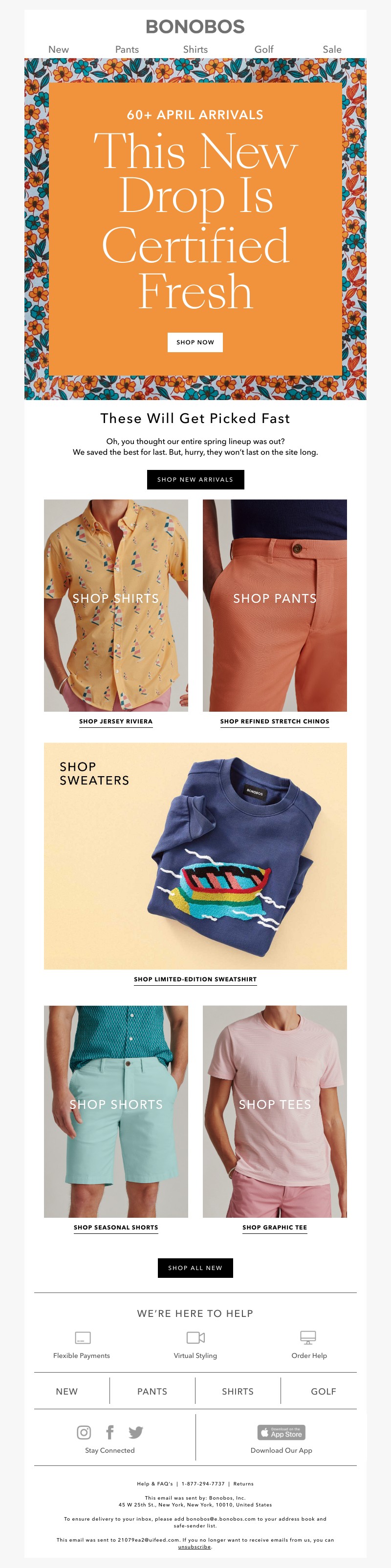 Screenshot of email with subject /media/emails/e4833ca1-924e-4fe8-8277-9aa38b6fa8a2.jpg